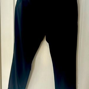 NWT Eddie bauer Departure pants Large